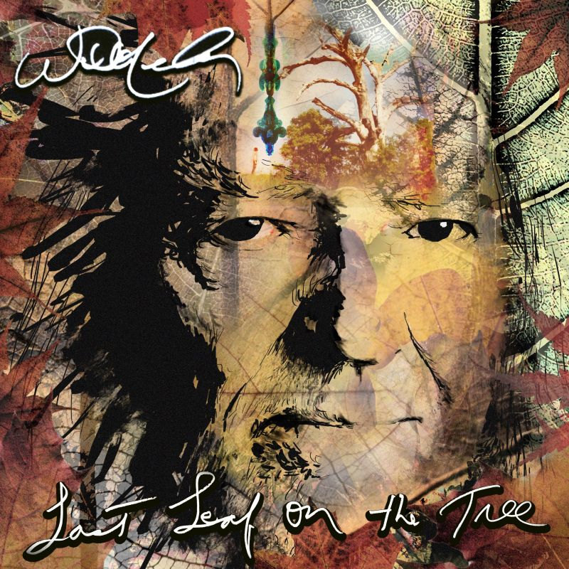 Willie-Nelson-Last-leaf-on-the-tree