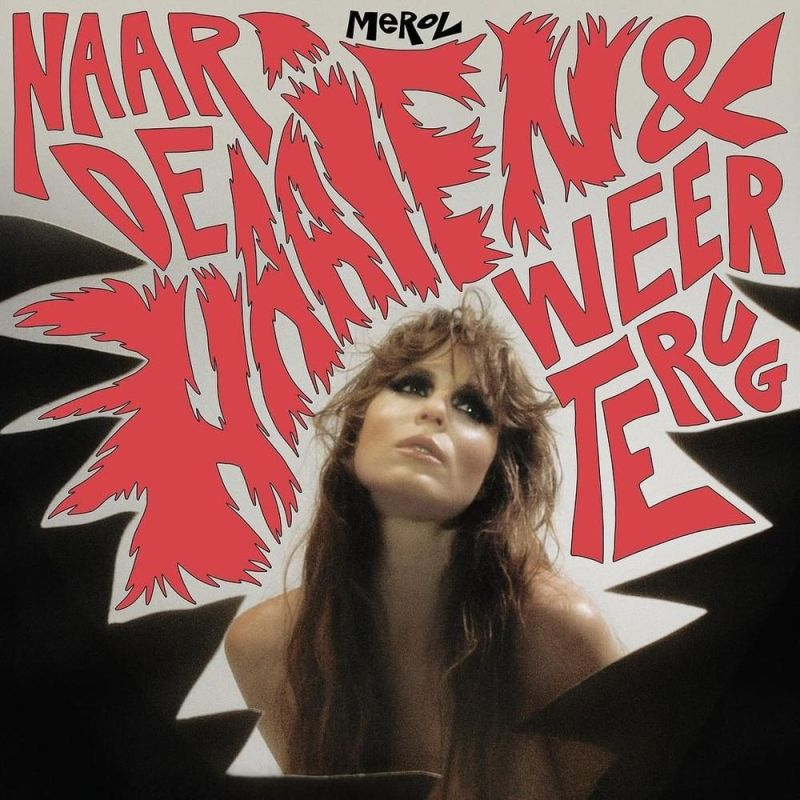 Merol-Naar-De-Haaien-Weer-Terug