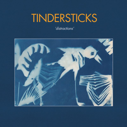 TINDERSTICKS - DISTRACTIONSTINDERSTICKS-DISTRACTIONS.jpg