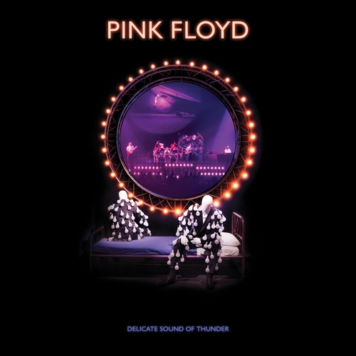 PINK FLOYD - DELICATE SOUND.. -DELUXE-PINK-FLOYD-DELICATE-SOUND-OF-THUNDER-DELUXE-.jpeg