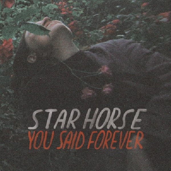 7340169403674-STAR-HORSE-YOU-SAID-FOREVER7340169403674-STAR-HORSE-YOU-SAID-FOREVER.jpg