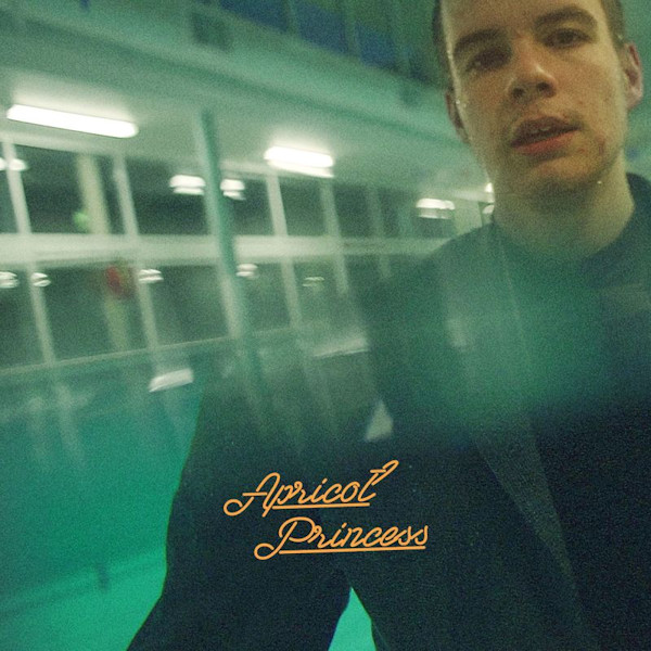 Rex Orange County - Apricot PrincessRex-Orange-County-Apricot-Princess.jpg