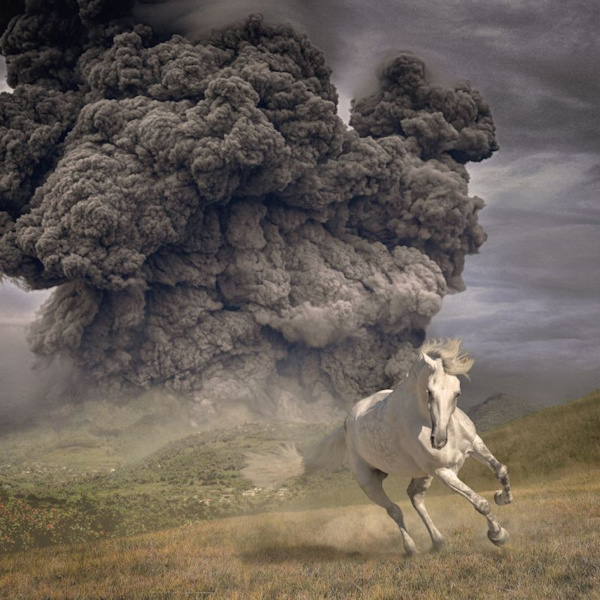 The White Buffalo - Year Of The Dark HorseThe-White-Buffalo-Year-Of-The-Dark-Horse.jpg