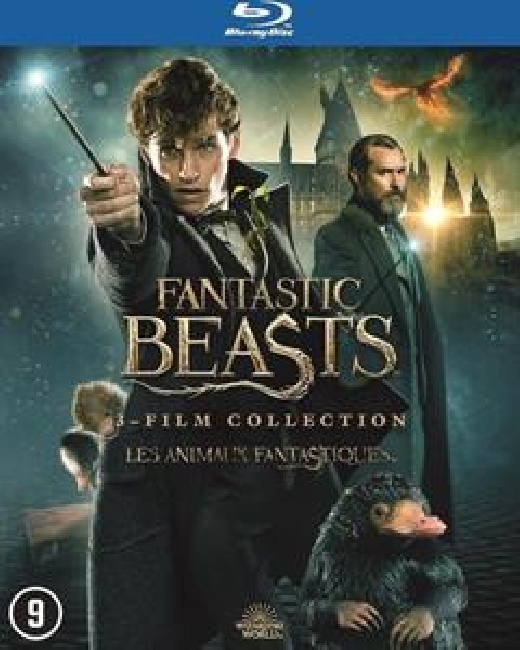 Movie-Fantastic Beasts 1-3-3-BLRYfa5qs158.j31