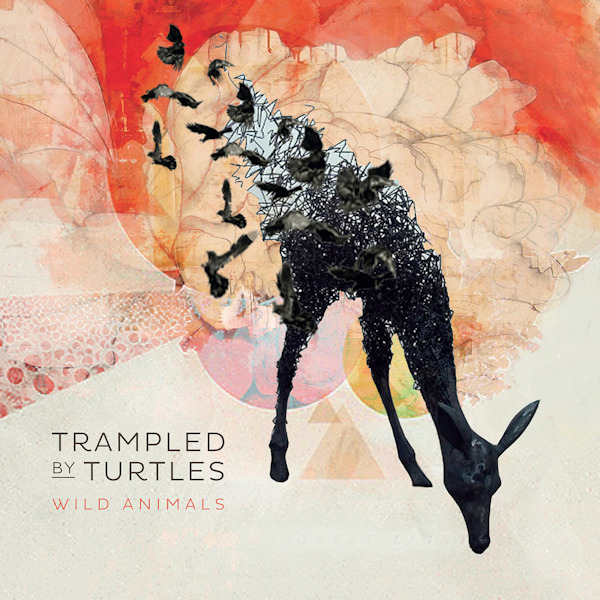 Trampled By Turtles - Wild AnimalsTrampled-By-Turtles-Wild-Animals.jpg