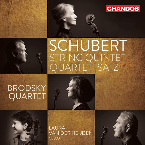 Brodsky Quartet / Laura Van Der Heijden - Schubert: String Quintet QuartettsatzBrodsky-Quartet-Laura-Van-Der-Heijden-Schubert-String-Quintet-Quartettsatz.jpg