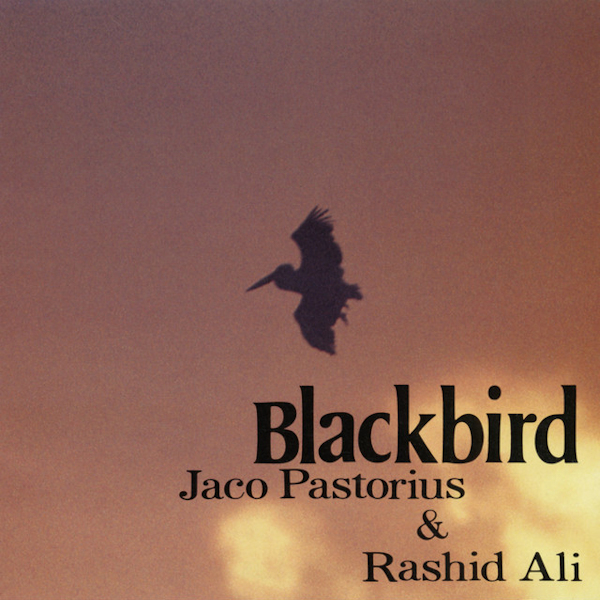Jaco Pastorius / Rashied Ali - Blackbird -reissue-Jaco-Pastorius-Rashied-Ali-Blackbird-reissue-.jpg