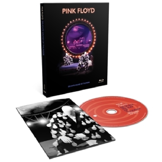 Pink Floyd-Delicate Sound of Thunder-1-BLRY5s8y6hw1.jpg