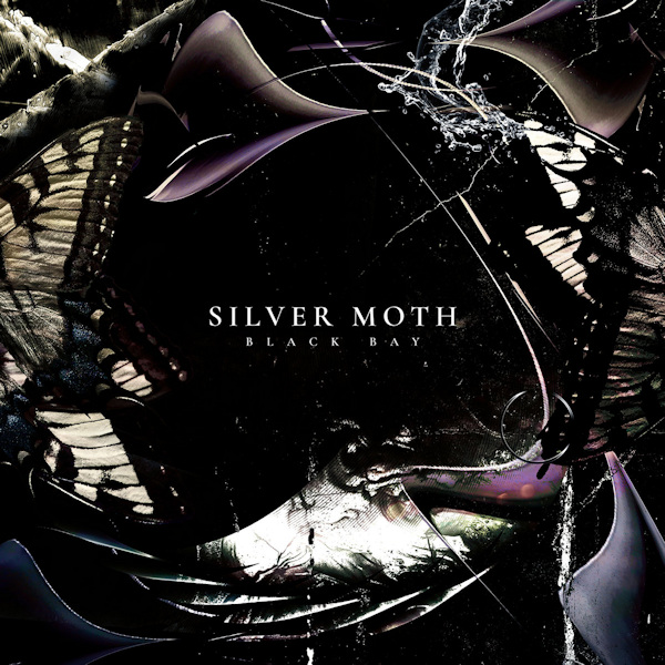 Silver Moth - Black BaySilver-Moth-Black-Bay.jpg