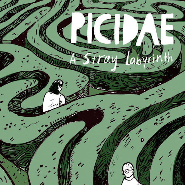 Picidae - A Stray LabyrinthPicidae-A-Stray-Labyrinth.jpg