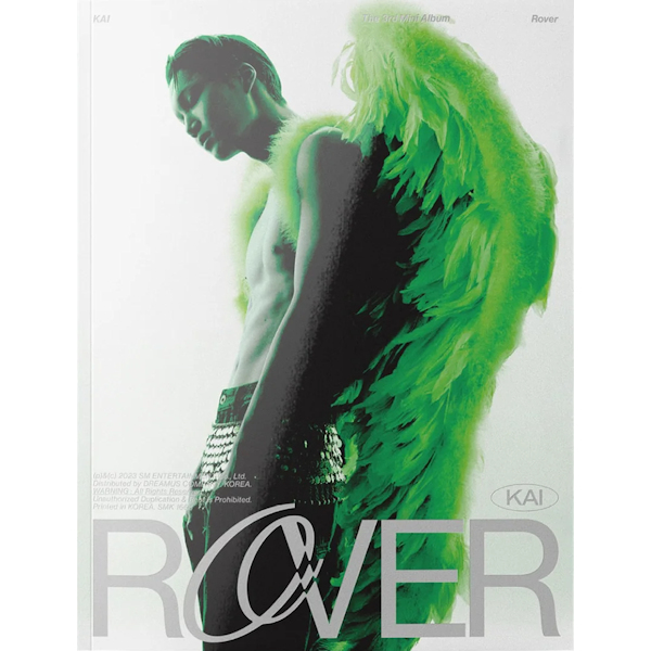 Kai - RoverKai-Rover.jpg