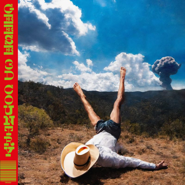 Geese - 3D Country -lp-Geese-3D-Country-lp-.jpg