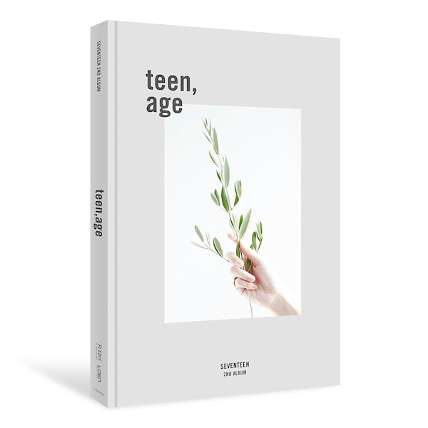 Seventeen - Teen, Age -box III-Seventeen-Teen-Age-box-III-.jpg