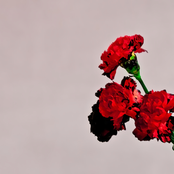 John Legend - Love In The FutureJohn-Legend-Love-In-The-Future.jpg