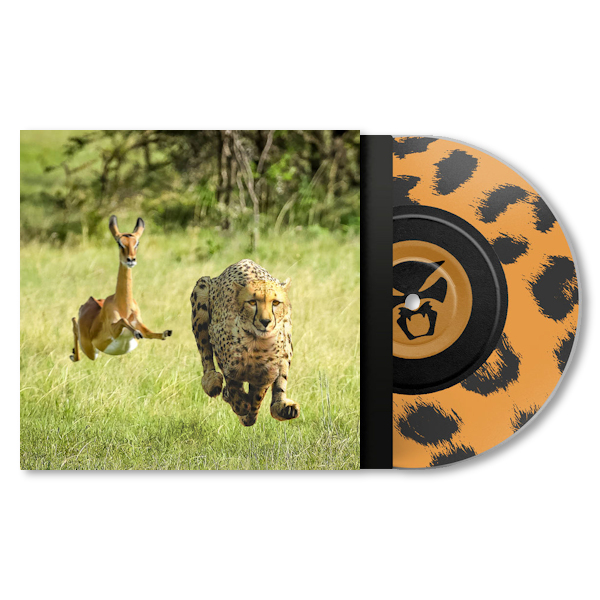 Thundercat & Tame Impala - No More Lies -coloured-Thundercat-Tame-Impala-No-More-Lies-coloured-.jpg