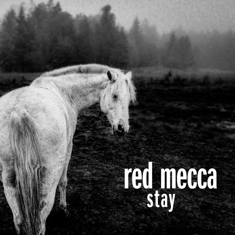 Red Mecca - StayRed-Mecca-Stay.jpg