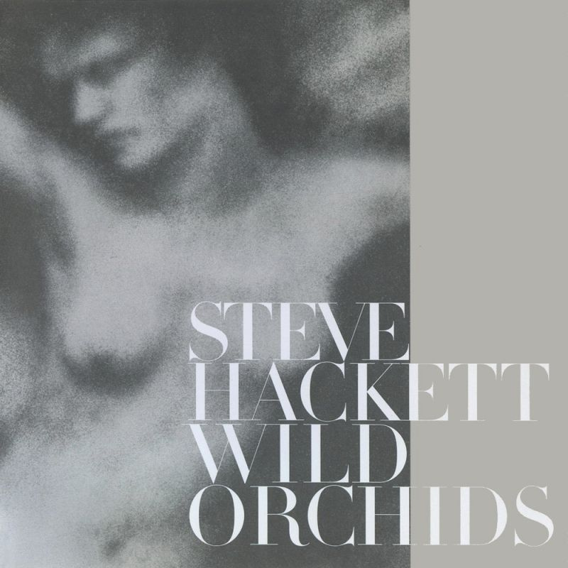 Steve Hackett - Wild OrchidsSteve-Hackett-Wild-Orchids.jpg