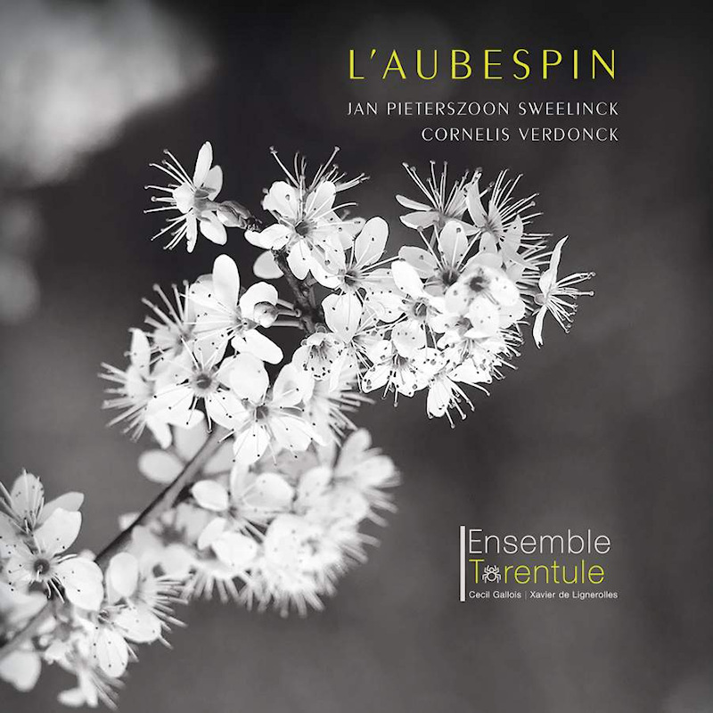 Ensemble Tarentule - Sweelinck / Verdonck: L'AubespinEnsemble-Tarentule-Sweelinck-Verdonck-LAubespin.jpg
