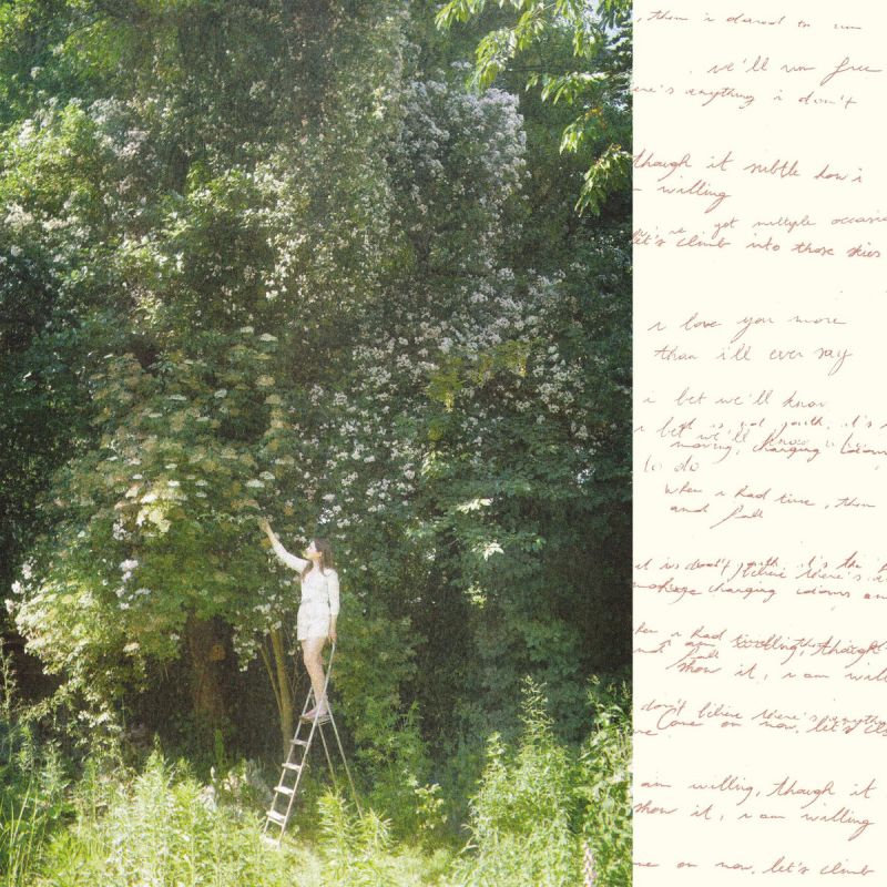 Ivy Falls - Sense & NonsenseIvy-Falls-Sense-Nonsense.jpg
