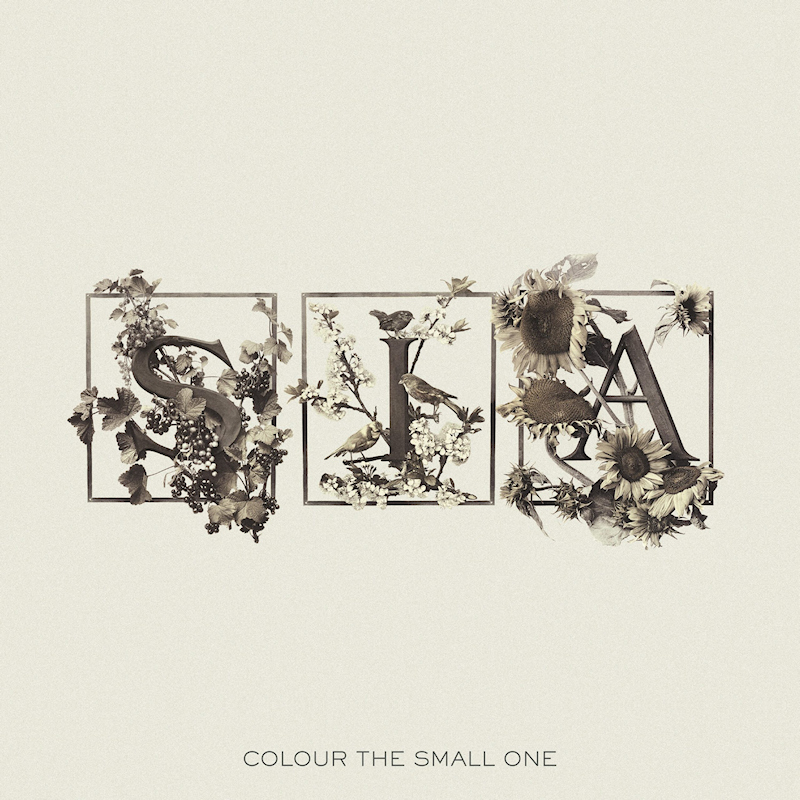 Sia - Colour The Small OneSia-Colour-The-Small-One.jpg