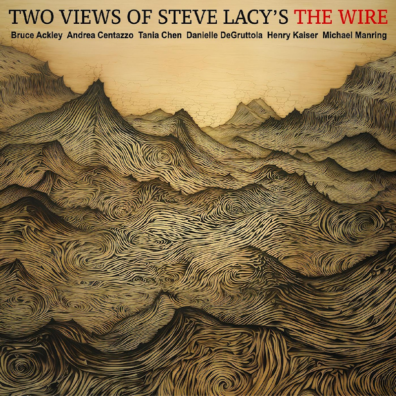 V.A. - Two Views Of Steve Lacy's The WireV.A.-Two-Views-Of-Steve-Lacys-The-Wire.jpg