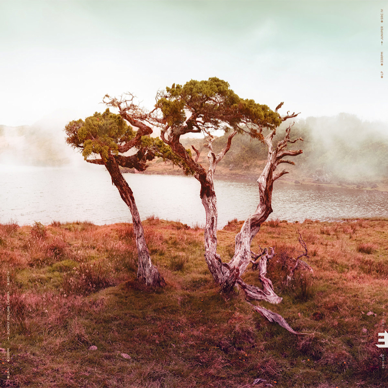 Slowly Rolling Camera - JuniperSlowly-Rolling-Camera-Juniper.jpg