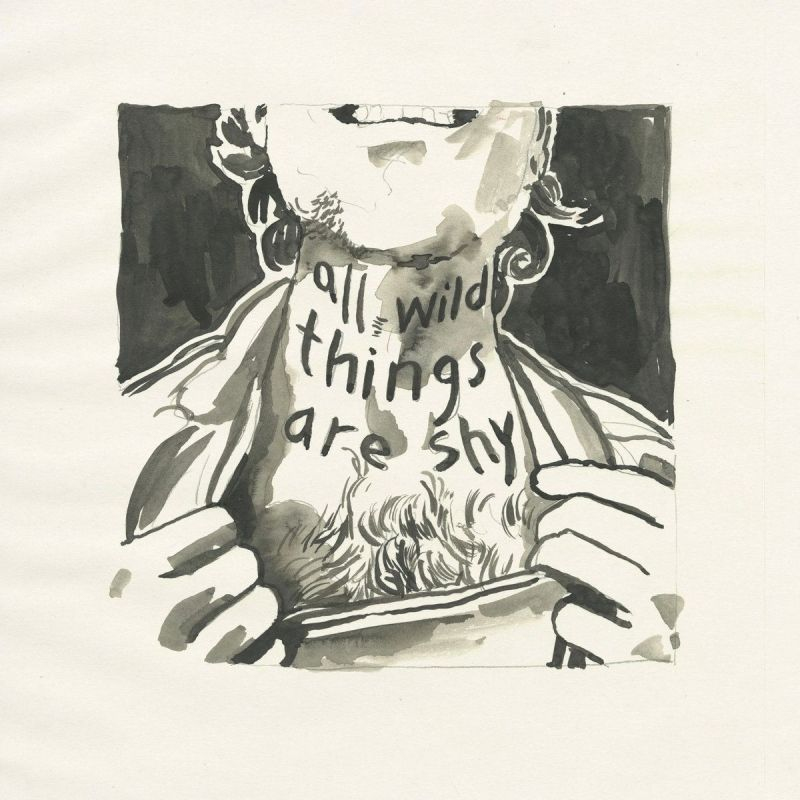Richard Laviolette - All Wild Things Are ShyRichard-Laviolette-All-Wild-Things-Are-Shy.jpg