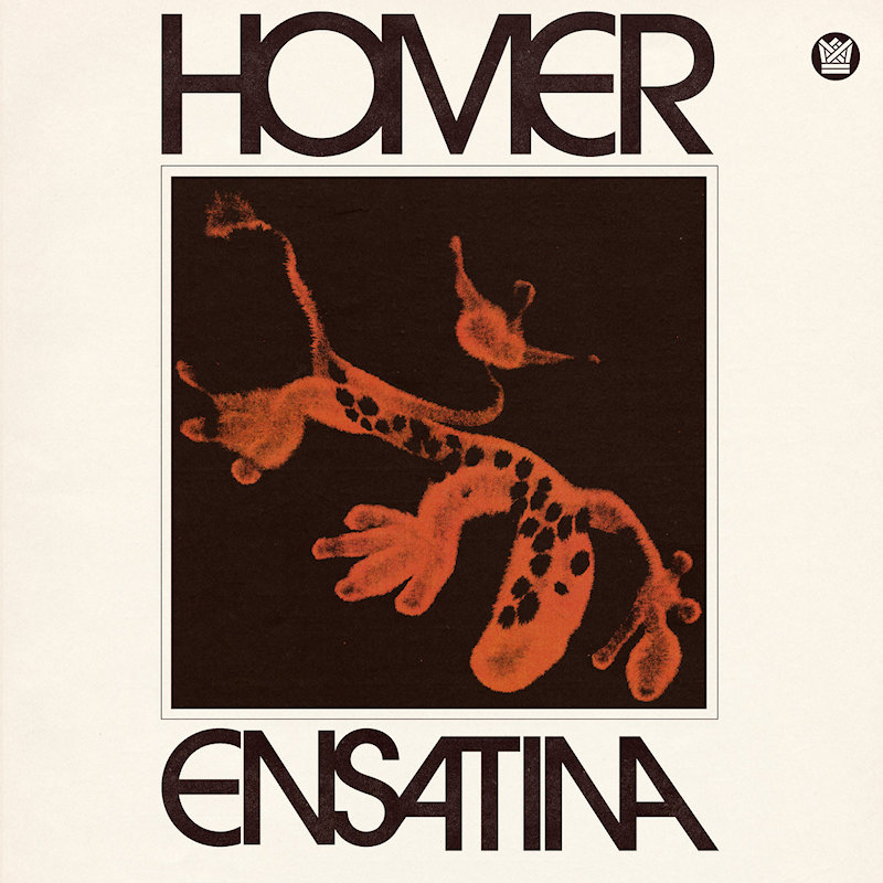 Homer - EnsatinaHomer-Ensatina.jpg