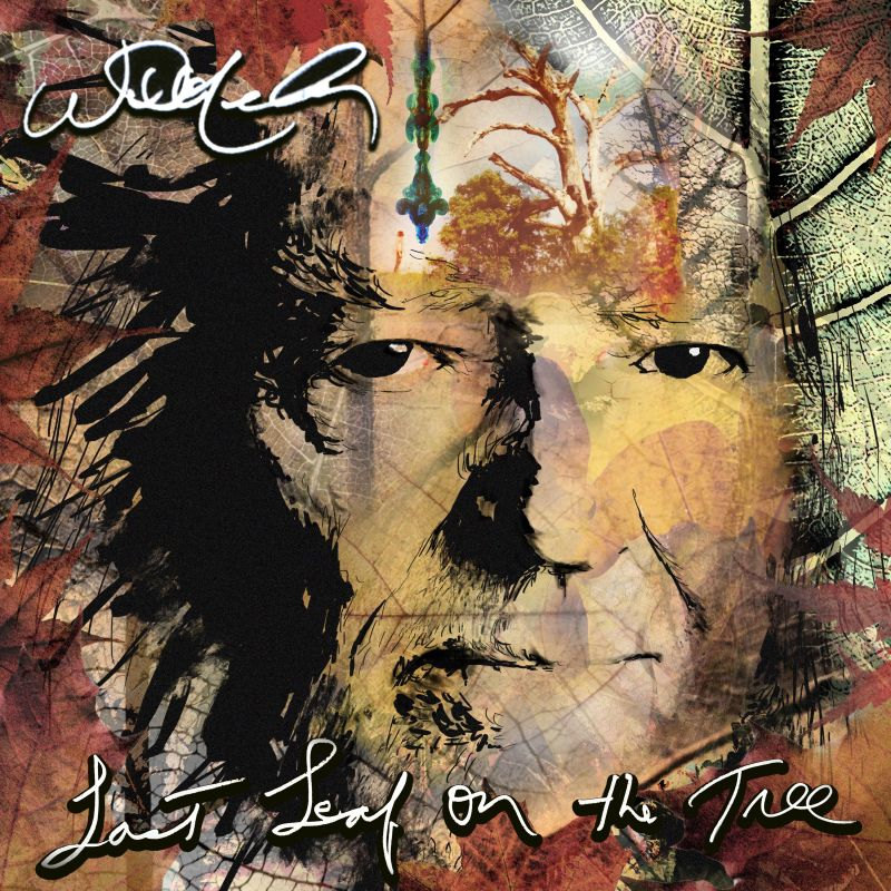 Willie Nelson - Last Leaf On The TreeWillie-Nelson-Last-Leaf-On-The-Tree.jpg