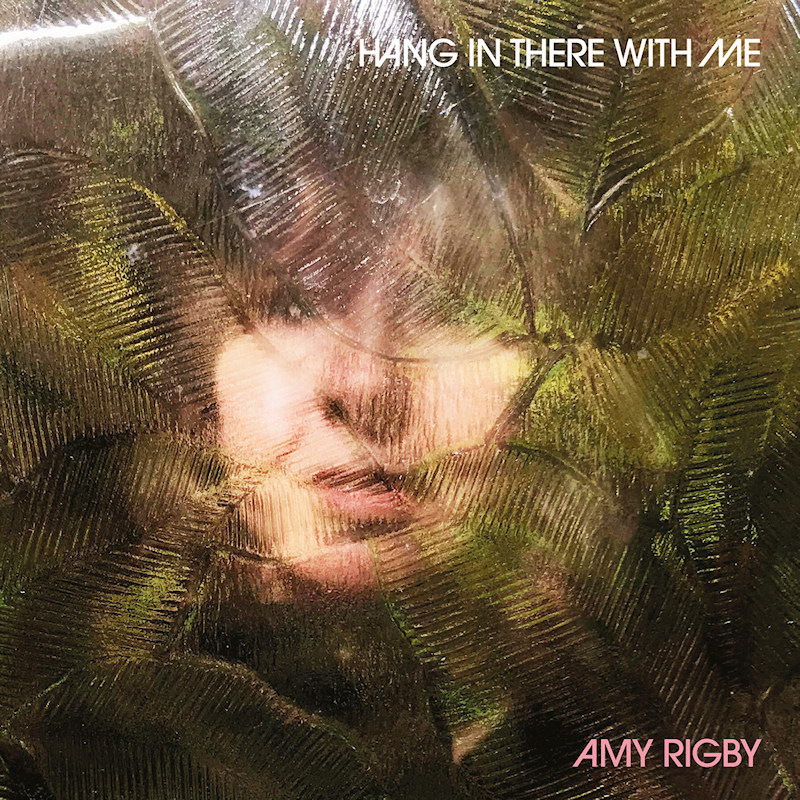 Amy Rigby - Hang In There With MeAmy-Rigby-Hang-In-There-With-Me.jpg