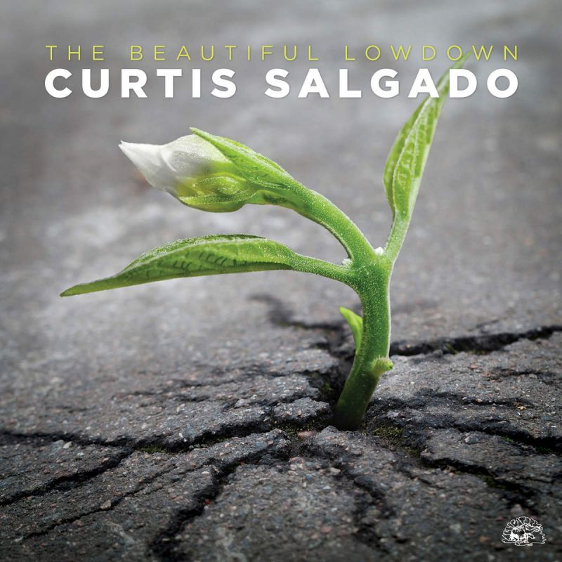 Curtis Salgado - The Beautiful LowdownCurtis-Salgado-The-Beautiful-Lowdown.jpg