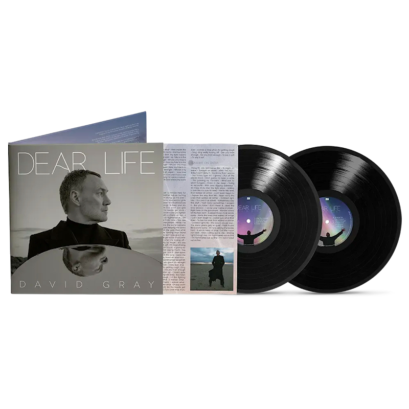 David Gray - Dear Life -2lp-David-Gray-Dear-Life-2lp-.jpg