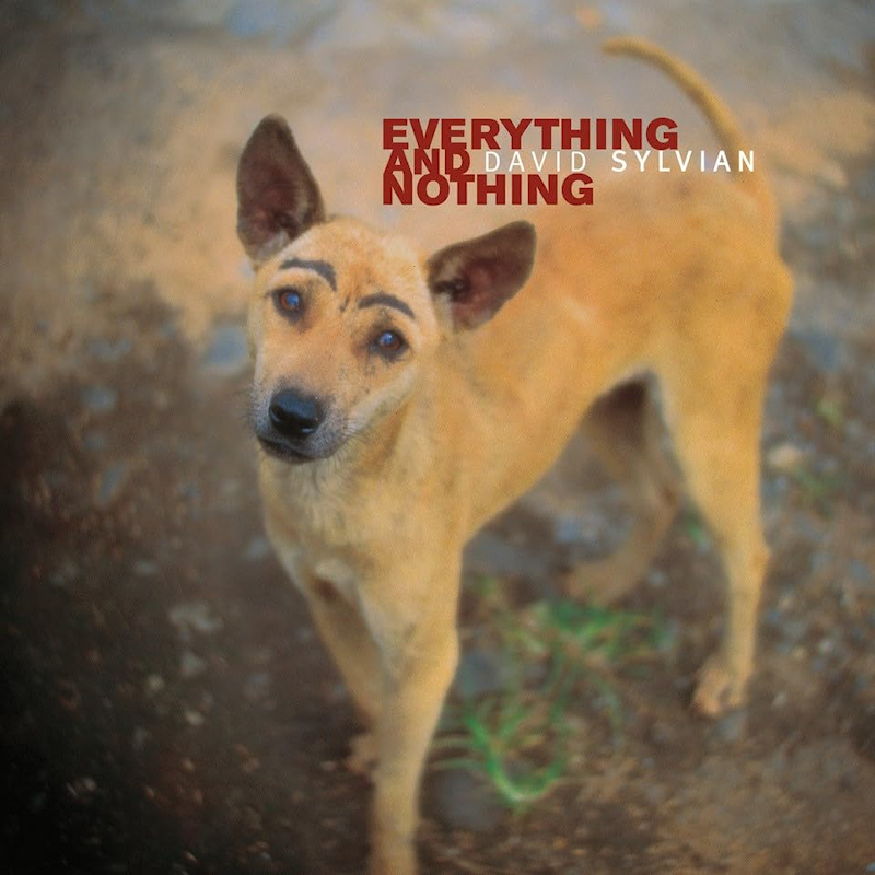 David Sylvian - Everything And NothingDavid-Sylvian-Everything-And-Nothing.jpg