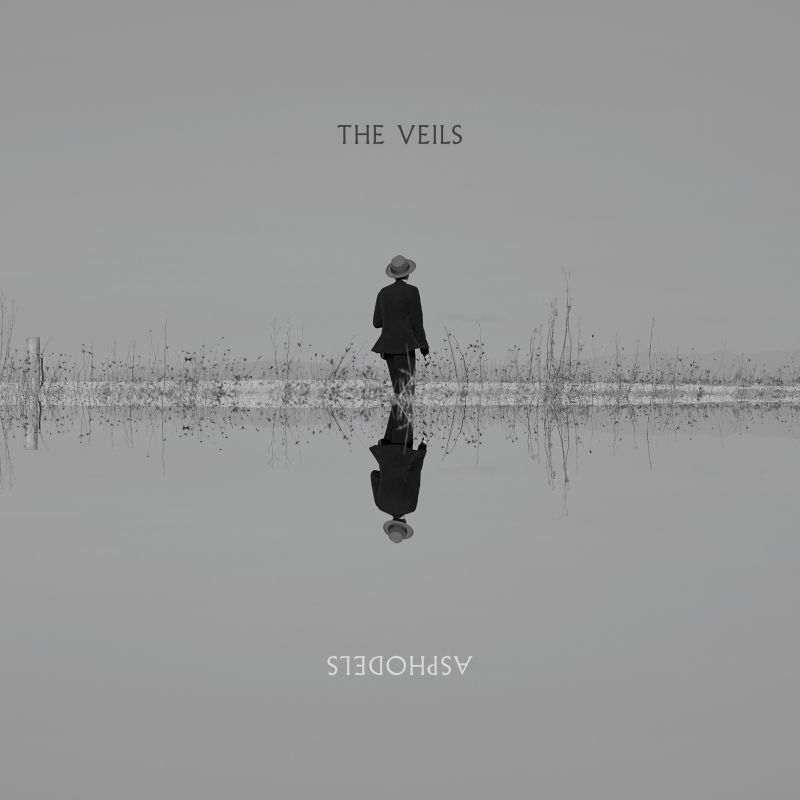 The Veils - AsphodelsThe-Veils-Asphodels.jpg