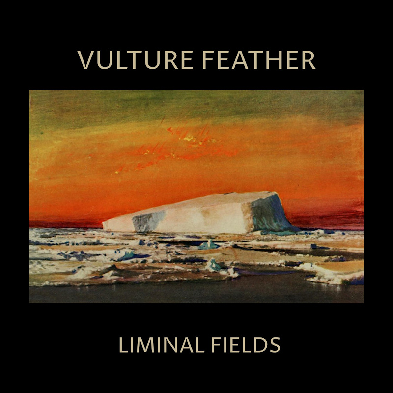 Vulture Feather - Liminal FieldsVulture-Feather-Liminal-Fields.jpg
