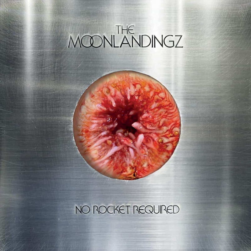 The Moonlandingz - No Rocket RequiredThe-Moonlandingz-No-Rocket-Required.jpg