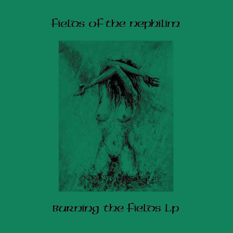 Fields Of The Nephilim - Burning The Fields LPFields-Of-The-Nephilim-Burning-The-Fields-LP.jpg