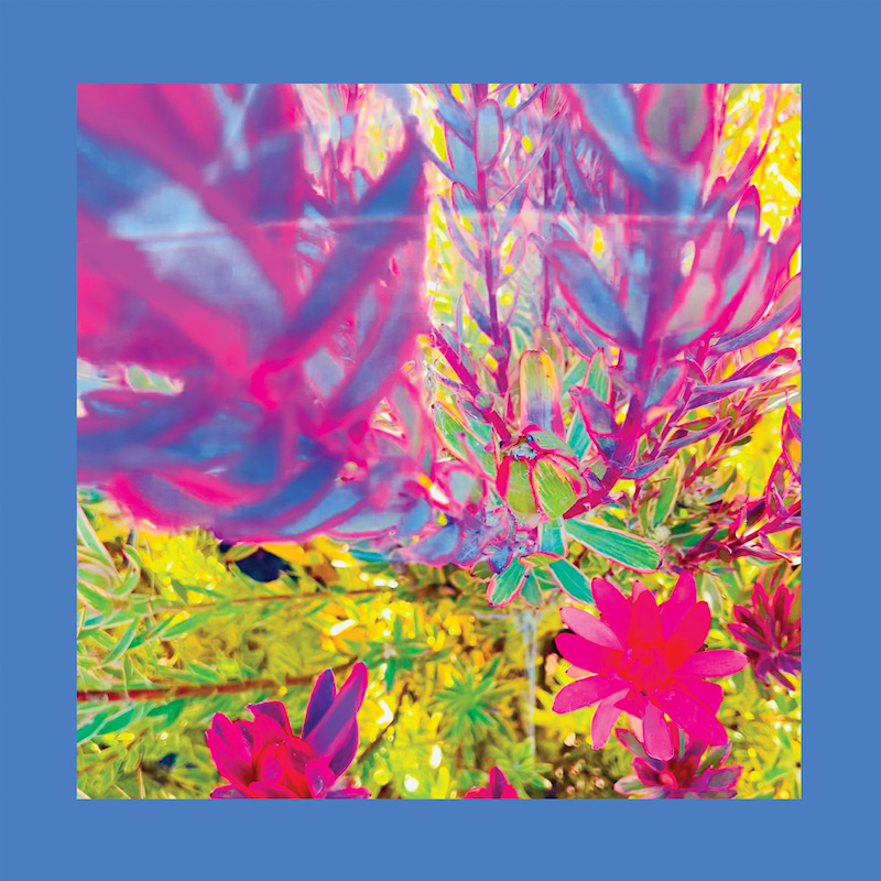 The Reds, Pinks & Purples - The Past Is A Garden I Never FedThe-Reds-Pinks-Purples-The-Past-Is-A-Garden-I-Never-Fed.jpg