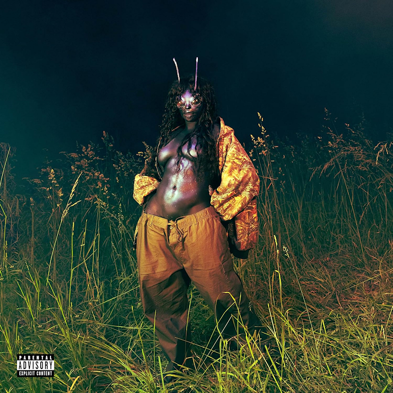 SZA - SOS Deluxe: LanaSZA-SOS-Deluxe-Lana.jpg