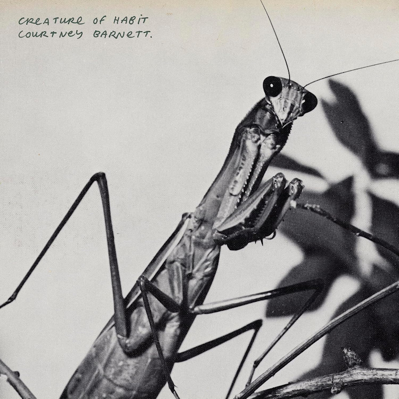 Courtney Barnett - Creature Of HabitCourtney-Barnett-Creature-Of-Habit.jpg