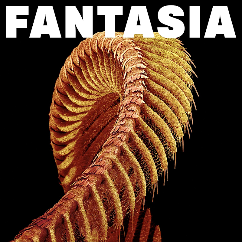 Slift - FantasiaSlift-Fantasia.jpg