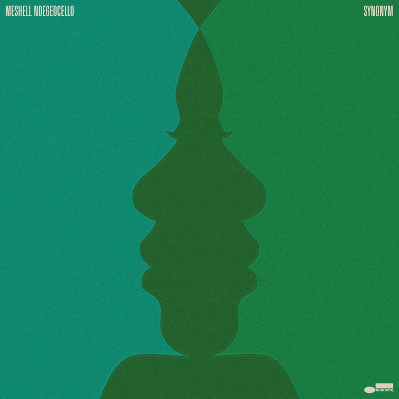 Meshell Ndegeocello - SynonymMeshell-Ndegeocello-Synonym.jpg